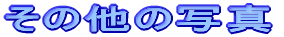 ���̑�