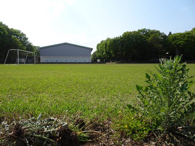 バンガローのAタイプ