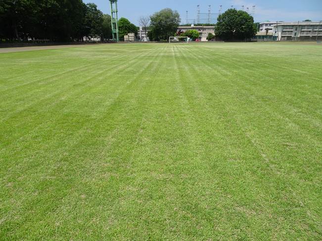 バンガローのAタイプ