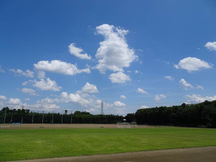 バンガローのAタイプ