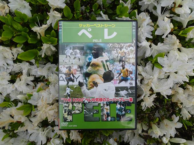 バンガローのAタイプ