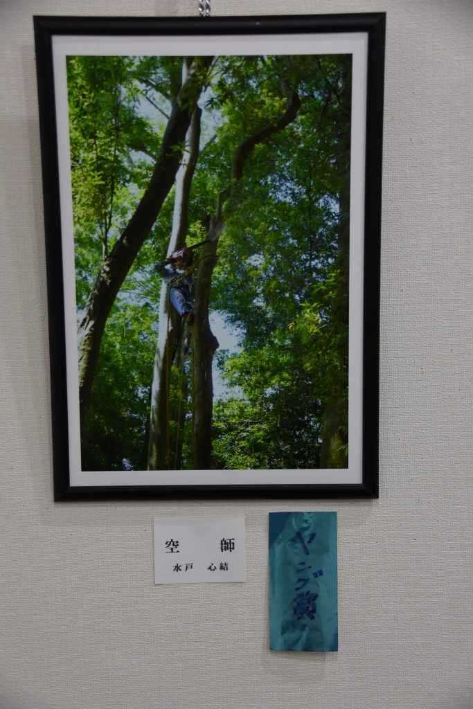 ヤング賞:2C 水戸心結さん タイトル「空師」