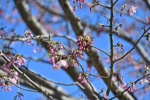 2日は入学式でした