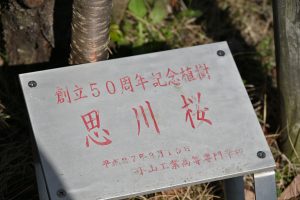 50周年記念植樹プレート